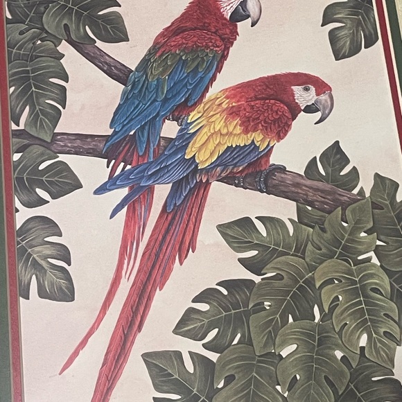 Parrot Artwork - Picture 4 of 8